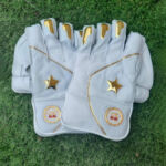 Premium Keeping Gloves