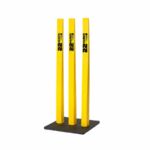 Flexi  Fusion Stumps